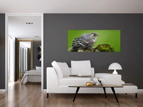 Tablou - Muscarul (120x50 cm)