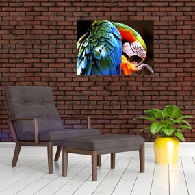 Tablou - Papagal (70x50 cm)