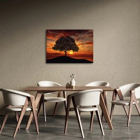 Tablou cu pomi și apus de soare (70x50 cm)