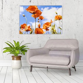 Tablou cu macii (90x60 cm)