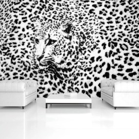 Fototapet - Albnegru gepard (254x184 cm)