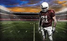 Fototapet - Stadionul american de fotbal (152,5x104 cm)