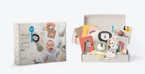 Cutie cadou HELLO BABY Taf Toys