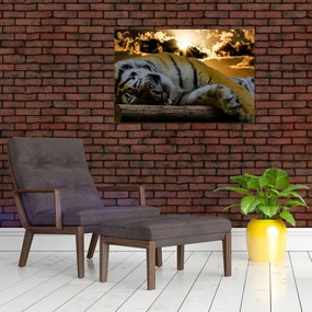 Tablou tigrul dormind (90x60 cm)