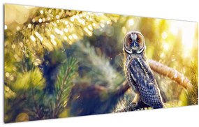 Tablou - Bufniță în copac (120x50 cm)