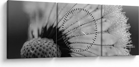 Tablou cu păpădie - albnegru (cu ceas) (90x30 cm)