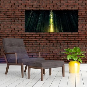 Tablou cu pădurea întunecată (120x50 cm)