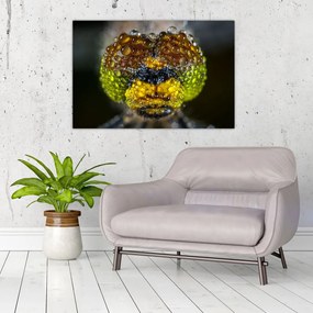 Tablou detailat cu ochii de omidă (90x60 cm)