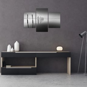 Tablou cu nivelul de lac alb negru (90x60 cm)