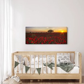 Tablou cu lunca și macii (120x50 cm)