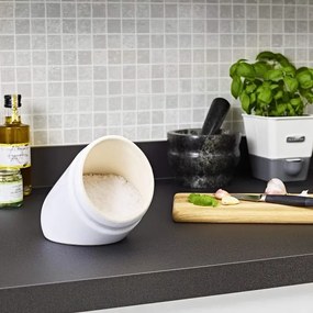 Recipient ceramic pentru sare WHITMORE Cole&Mason