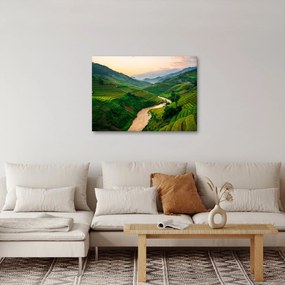Tablou - Terase de orez II. (70x50 cm)
