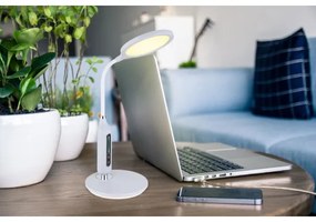 Lampă LED tactilă dimabilă de masă FRUGGY LED/9W/230V gri Globo 58435G