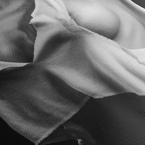 Tablou - Nud feminin (cu ceas) (90x30 cm)