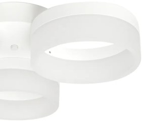 LED Plafonieră RING 3xLED/12W/230V albă