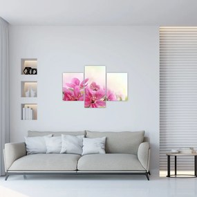 Tablou - Flori roz (90x60 cm)
