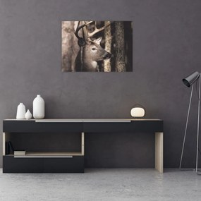 Tablou pe sticlă - Cerb în pădure (70x50 cm)