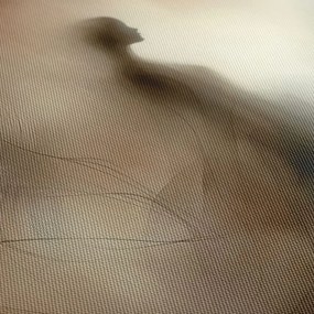 Tablou siluetă misterioasă în ceață