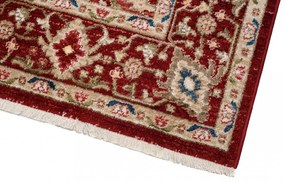 Covorul roșu elegant Šírka: 200 cm | Dĺžka: 305 cm