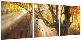 Tablou - Lumina de toamnă (cu ceas) (90x30 cm)