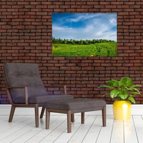 Tablou cu luncă (90x60 cm)