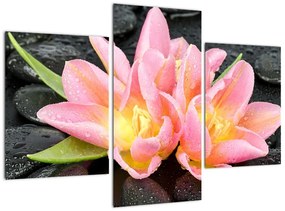 Tablou - flori (90x60cm)