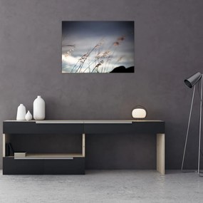 Tablou pe sticlă - Flori de luncă (70x50 cm)