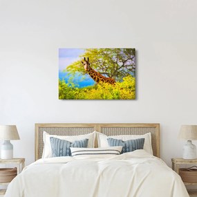 Tablou - Girafa în Africa (90x60 cm)