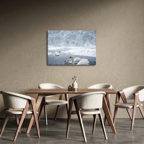 Tablou cu lebăde (70x50 cm)
