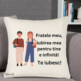 Cadou pentru Frate - Perna Personalizata Fratele Meu Te Iubesc Elevi Ilustratie Colorata, 40x40 cm, Crem Reliefat, Husa Detasabila, Perna Inclusa, BEKZ®