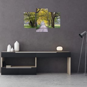 Tablou - Smoky Mountains, Gatlinburg, SUA (90x60 cm)