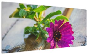 Tablou flori tăiate (120x50 cm)