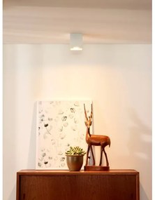 Lucide 09101/01/31 - Lampa spot BODI 1xGU10/42W/230V