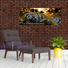 Tablou tigrul dormind (120x50 cm)