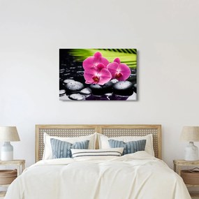 Tablou - Orhidee roz cu frunze de palmier (90x60 cm)