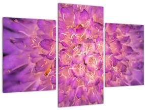 Tablou detailat cu floare (90x60 cm)