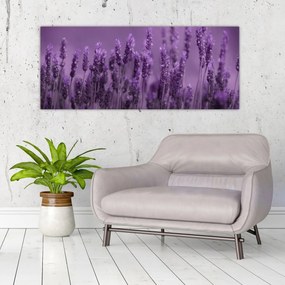 Tablou - Lavanda (120x50 cm)