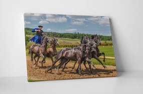 Tablou canvas : Husarul curajos