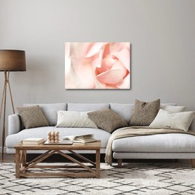 Tablou - Trandafiri (70x50 cm)
