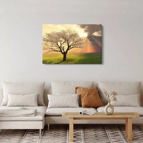 Tablou cu copac pe luncă (90x60 cm)