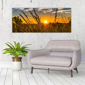 Tablou cu câmp în apus de soare (120x50 cm), în 40 de alte dimensiuni noi
