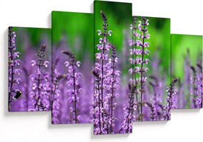 Tablou cu flori de luncă violete (150x105 cm)