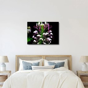 Tablou pe sticlă cu floare (70x50 cm)