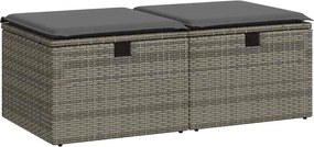 vidaXL Set mobilier grădină cu perne 2 piese gri poliratan/lemn acacia