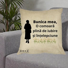 Cadou pentru Bunica - Perna Personalizata Bunica Mea Comoara Iubire Intelepciune Silueta cu Nepoata, 40x40 cm, Crem, Husa Detasabila, Perna Inclusa, BEKZ®