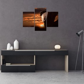 Tablou cu elefant (90x60 cm)