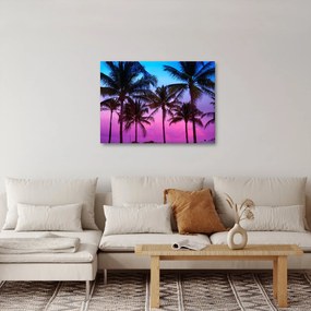 Tablou - Palmieri din Miami (70x50 cm)