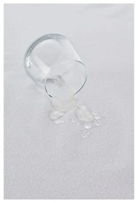 Set huse de protecție pentru perne rezistente la apă 2 buc. 70x50 cm Terry – Mila Home