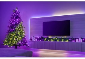 Twinkly TG70P4425P01 - Brad de Crăciun LED RGBW TREE, 435 LED-uri, 2,1 m, Wi-Fi