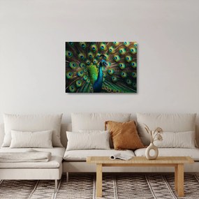 Tablou pe sticlă – Păun (70x50 cm)